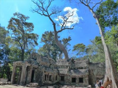 Ta Phrom